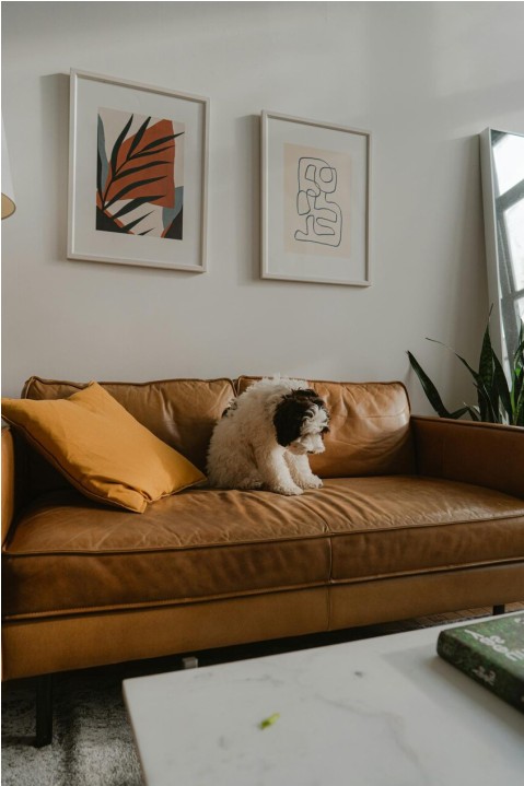 Gallery 1